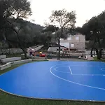 Conte *
