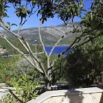 شقة Conte *
