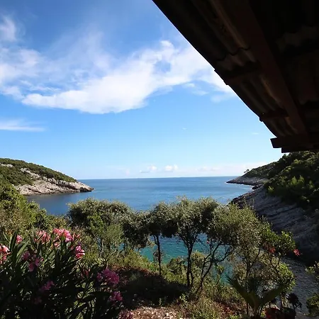Conte * Korčula
