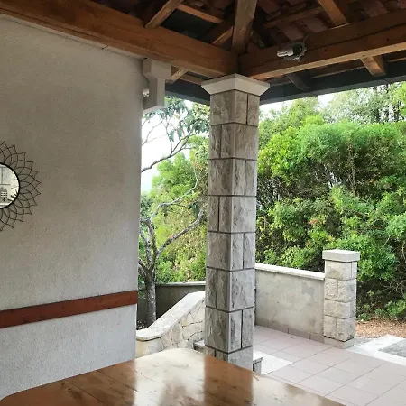 Conte 科尔丘拉