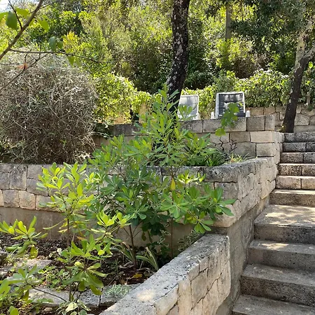 Apartamento Conte *