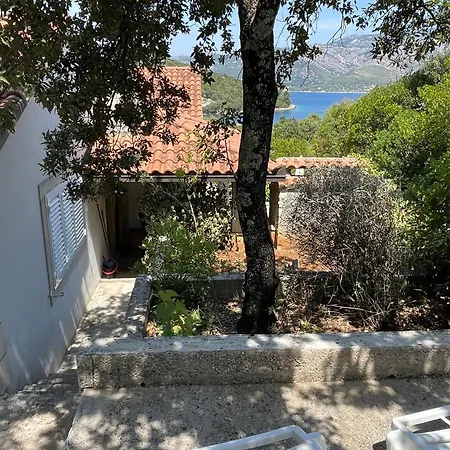 Conte *