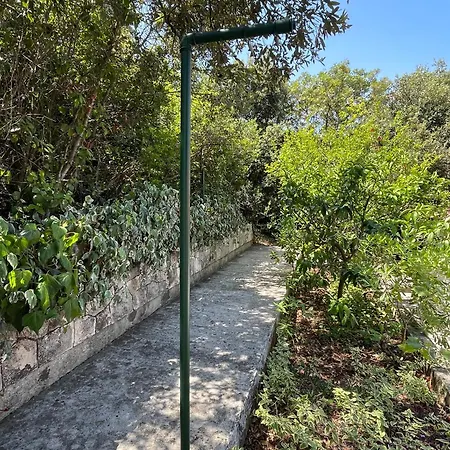 Conte Korčula