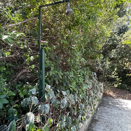 Conte * Korčula