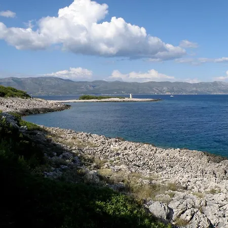 Conte * Korcula Town