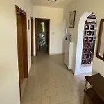 Conte *